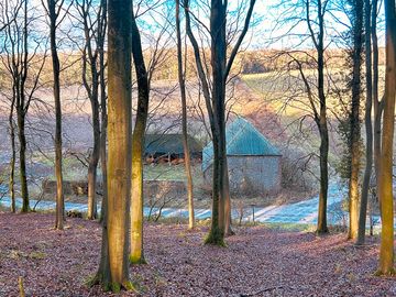 View through the woods to postles barn