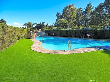 View of the pool with grass and waterfall