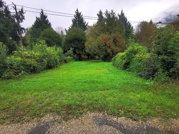 Pitch shaded by trees and bushes for privacy