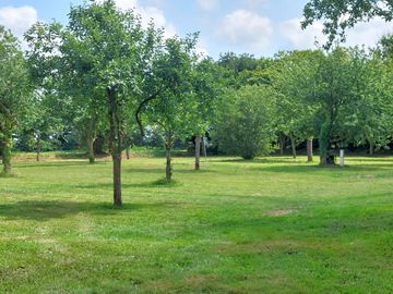 Grass pitches among the apple trees