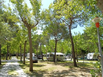 Shaded pitches