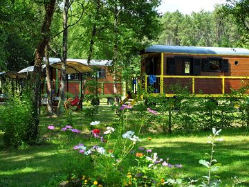 Pretty flowers around the caravans