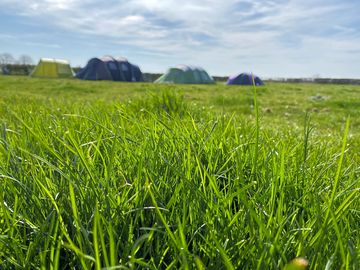 Grass pitch