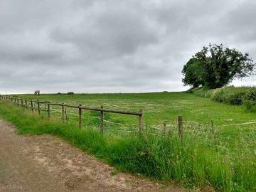 Plenty of picnic spots