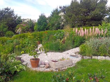 The garden