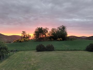 View from the pitches