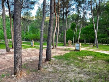 Pitches among the trees
