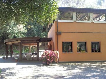 Bar terrace and reception