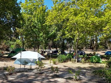 Camping area