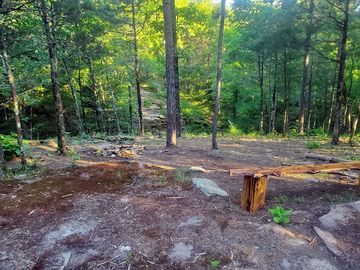Views over the creek