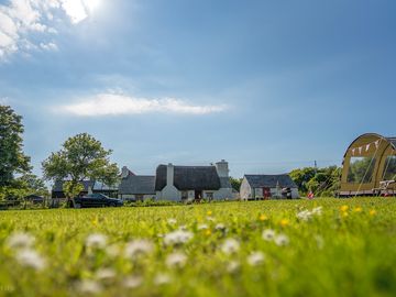 Camping fields