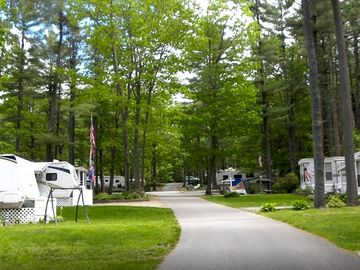 Rv sites in the woods