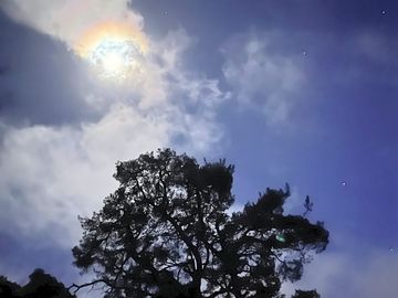 Night sky