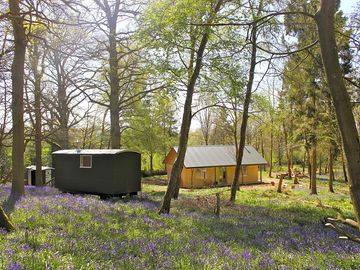Relax with friends in your own private six acre woodland with 7 shepherd huts & straw bale building