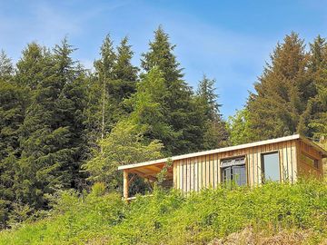 The cabin with a backdrop of Dyfi Forest