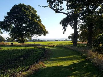 Farm walk
