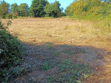 Pathway from the site