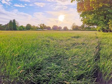 View of camping field