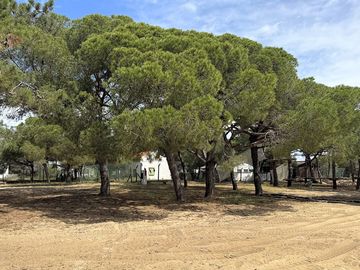 Camping pitches