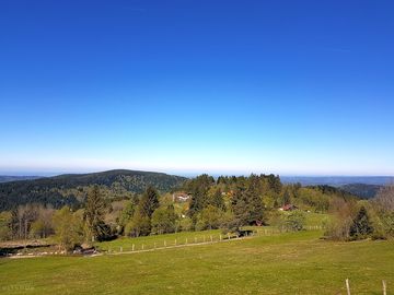 The surroundings
