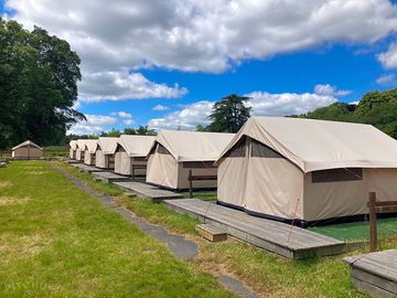 Safari tents
