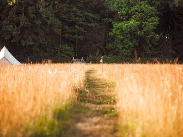 The path into the woods…