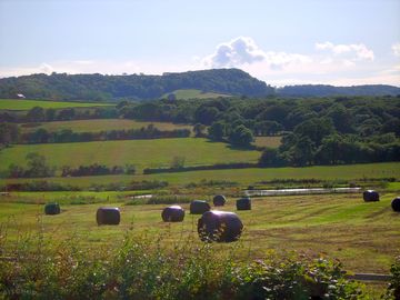 New bales