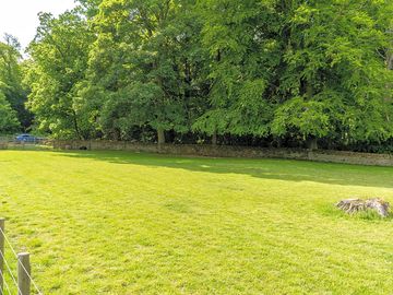 Greenery around the site