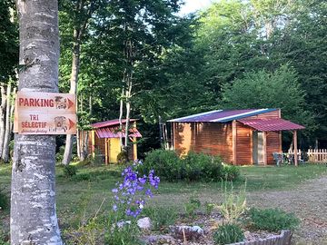 Peaceful cabins among the trees