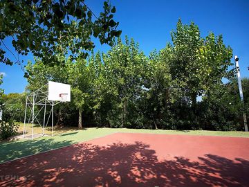 Basketball court