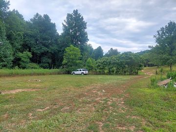 One of the fields