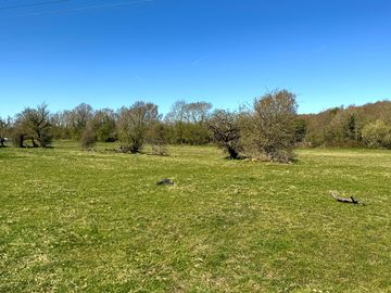 Large field with shelter and safely fenced off from the river
