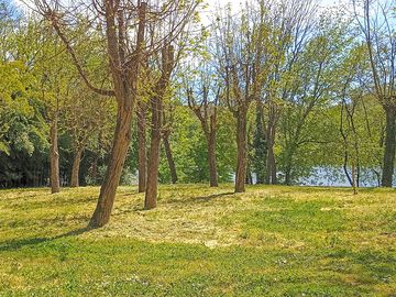 Pitches by the river