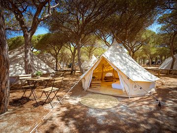 Bell tent among the trees