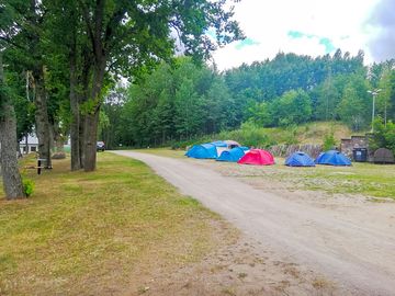 Trees all around the pitches