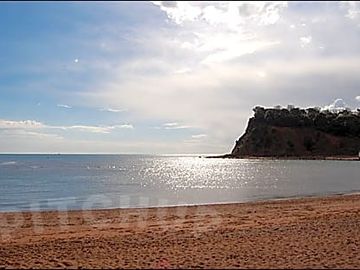 Shaldon 2