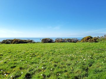Grassy pitches