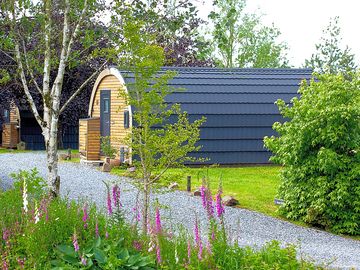 Driveway to both cabins