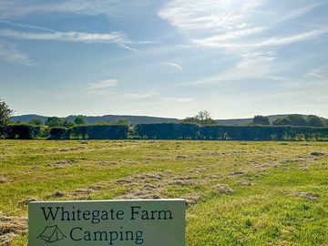 Sunny afternoon on the camping field