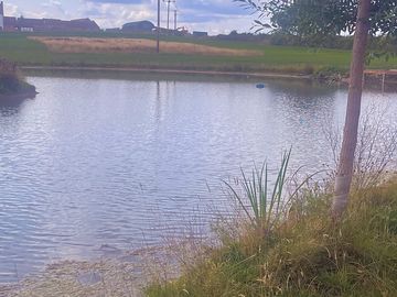 Looking across the pond
