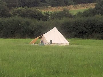 Green and lush suffolk