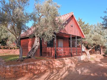 Bungalow among the olives