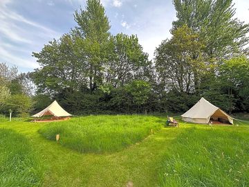 Camping in the meadow