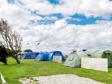 Large tent or trailer tent pitch with electricity