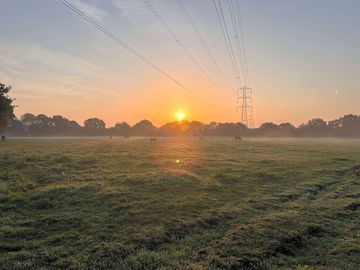 Sunrise