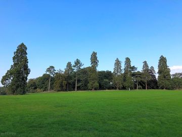 Facing east