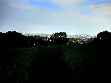The view