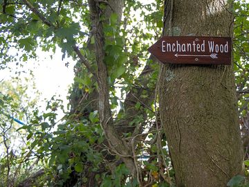 Explore the enchanted wood