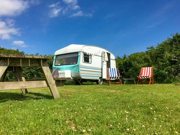 Dolly in her Summer home - best views on the site!