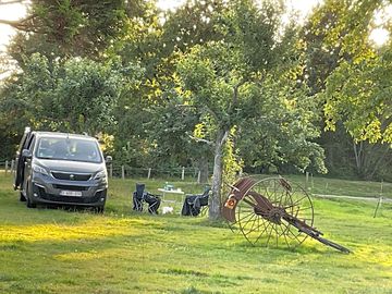 Pitch in the shade of the trees